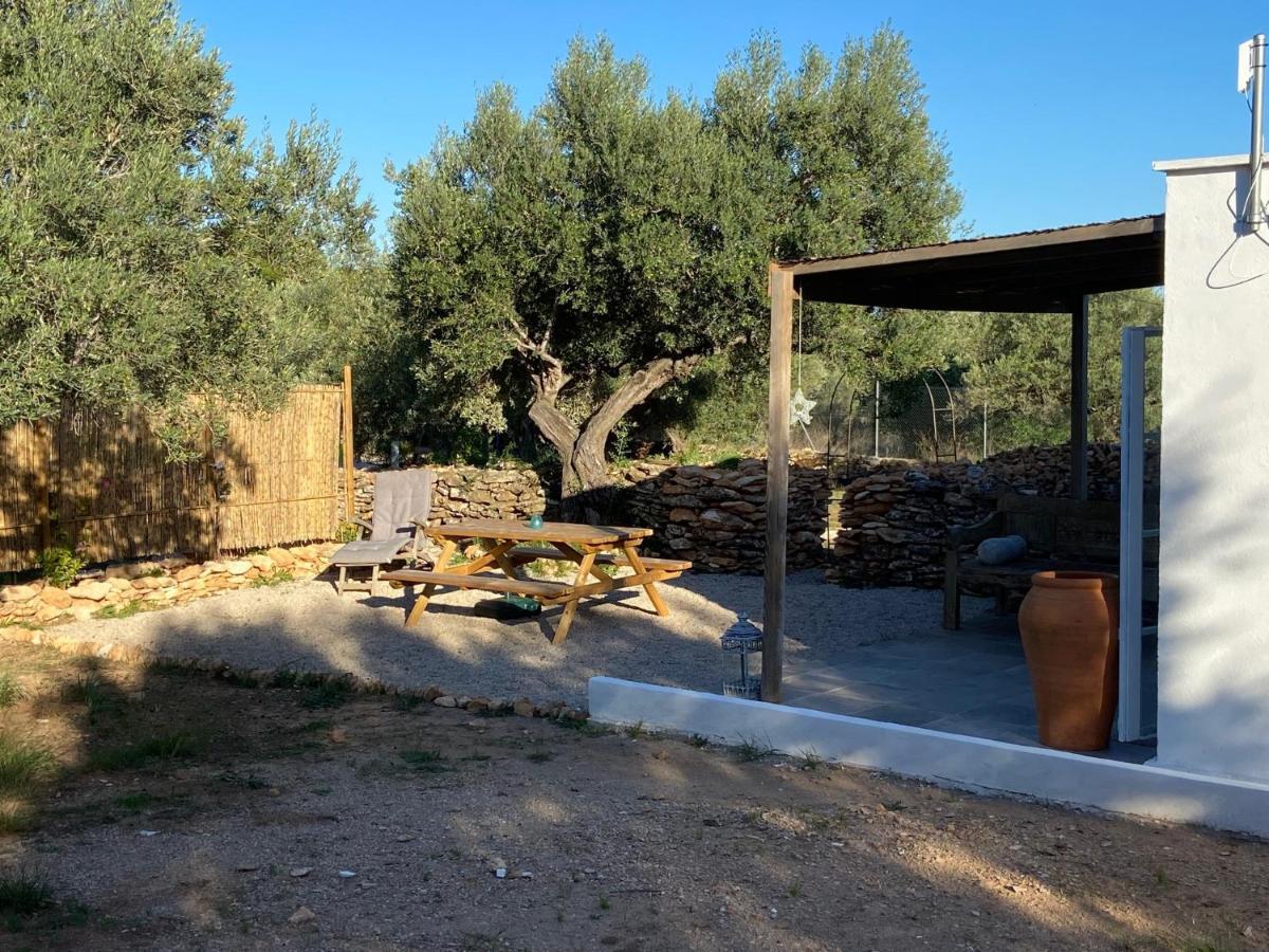 Alba Studio Διαμέρισμα Campredo Εξωτερικό φωτογραφία