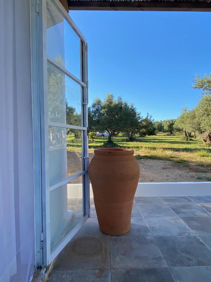 Alba Studio Διαμέρισμα Campredo Εξωτερικό φωτογραφία