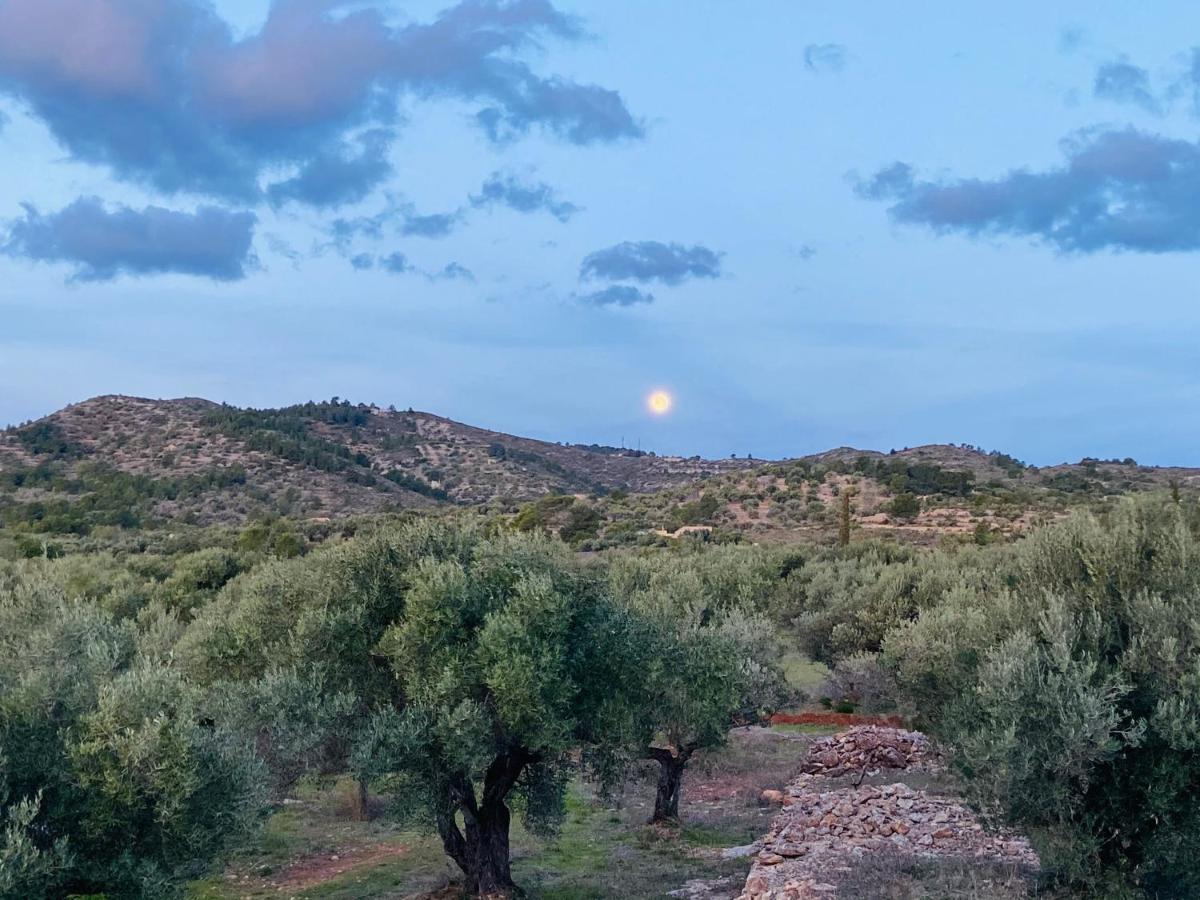 Alba Studio Διαμέρισμα Campredo Εξωτερικό φωτογραφία