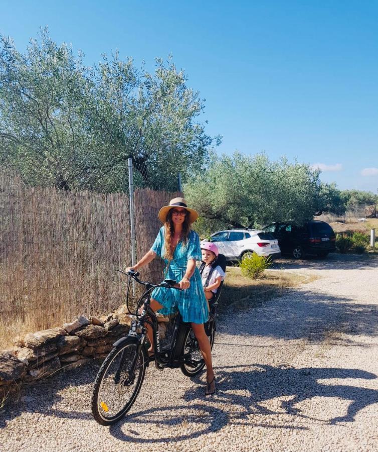 Alba Studio Διαμέρισμα Campredo Εξωτερικό φωτογραφία